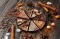 Cocoa and chocolate in the center of attention of doctors